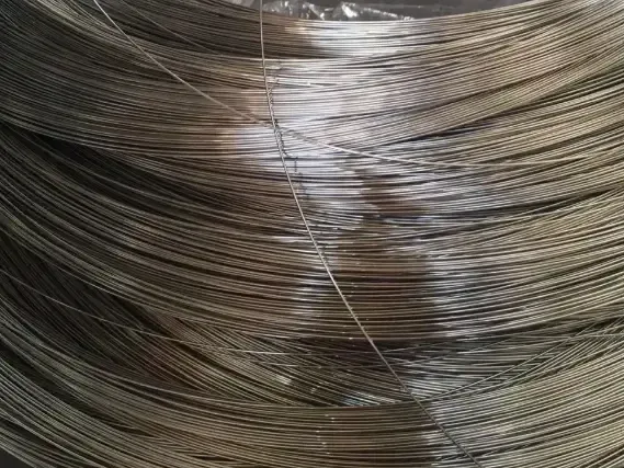 Fio de mola de aço inoxidável 316
